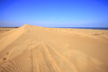 Fototapeta na wymiar The desert by the sea