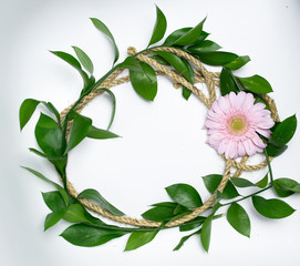 Fototapeta premium Pink flower and green leaves.