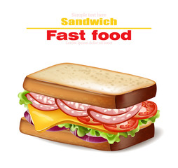 Sandwich Vector realistic. Fast food 3d detailed illustrations