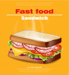 Hot Sandwich Vector realistic. Fast food mock up 3d detailed illustrations