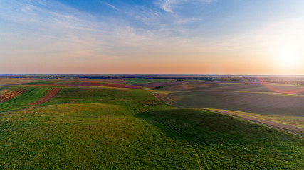 the green field is at sunset shot with the drone