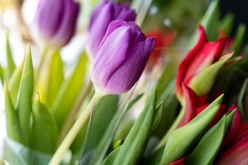 bouquet of tulips red and lilac flowers on a background of flowers