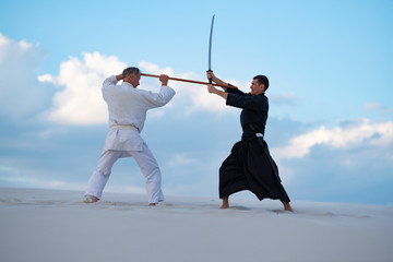 Two resolute men are practicing martial arts