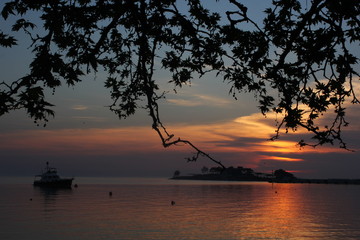 sunset tree ship sun sunny view tumblr instagram sea