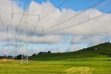 High voltage pylons on a sunny meadow