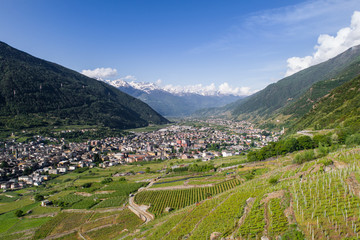 Valtellina, vineyards and terracing. City of Tirano