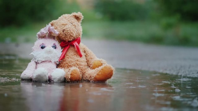 Two wet toys sit in the rain on the road