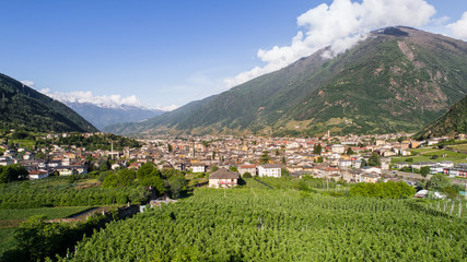 Fototapeta na wymiar Vineyards and city of Tirano