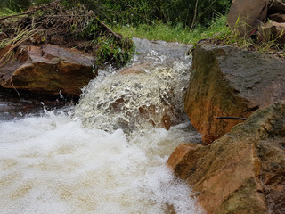 Acqua di torrente