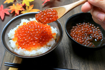 イクラ丼
