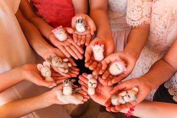 Obraz na płótnie Canvas Kids's hands holding felted toys