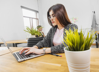 Intelligent brunette in woolen gray sweater dealing with the task on silver computer, busy colleagues talking in the background, working atmosphere in modern office