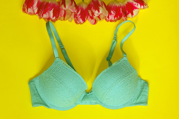 Women`s Bra. Romantic Lingerie.Textile, Underwear. Blue Bra Over Yellow Background.
Fashion,...