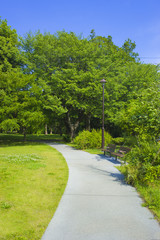 Park path