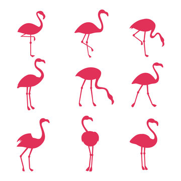 Pink flamingo silhouetes isolated on white background