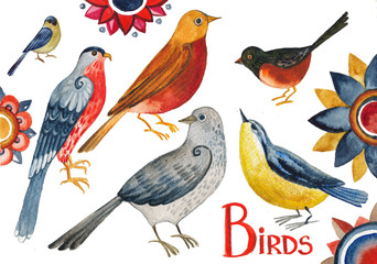 collection of birds. Watercolor drawing of birds