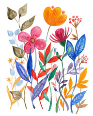 watercolor plants, flowers and leaves of different colors