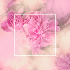 Pink peony flowers square gift card with white frame and copy space; floral background