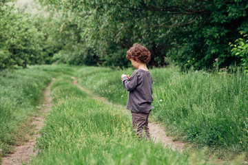 Cheerful little boy play with grass on country road in forest. Back view of adorable curly toddler