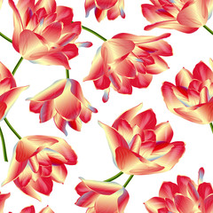 Vector seamless pattern with tulip flowers. Modern floral pattern for textile, wallpaper, print, gift wrap scrapbooking decoupage, greeting or wedding background. Spring or summer design.