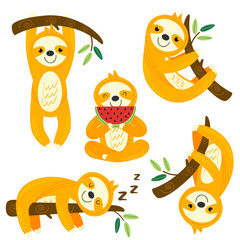 set of isolated funny sloths - vector illustration, eps
