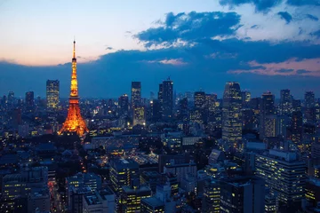 Schilderijen op glas Aerial view over Tokyo tower and Tokyo cityscape with high rise architecture at sunset in Tokyo, Japan © BOOCYS