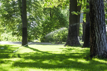Lawn watering works in summer in the park - automatic moistening of grass and care of the landscape