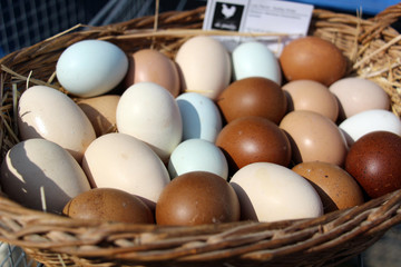 des oeufs de toutes les couleurs dans panier en osier rotin