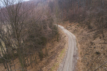 aerial Drone flight over forest and dirt road in a forest in Austria in march