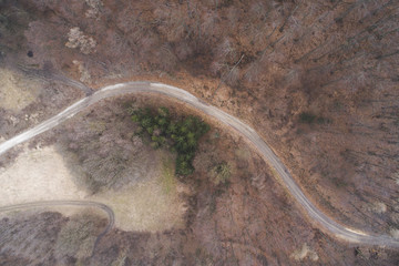 aerial Drone flight over forest and dirt road in a forest in Austria in march