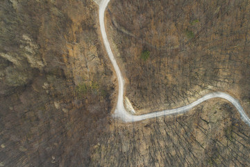 aerial Drone flight over forest and dirt road in a forest in Austria in march