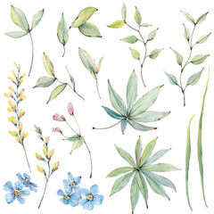 Watercolor country flowers set in vintage style.