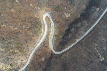 aerial Drone flight over forest and dirt road in a forest in Austria in march
