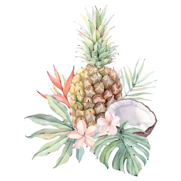 watercolor tropical fruits and flowers set