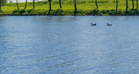 Flusslandschaft der Eider in Schleswig-Holstein