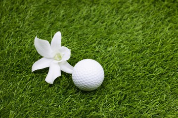 Golf and orchis flowers are on green grass