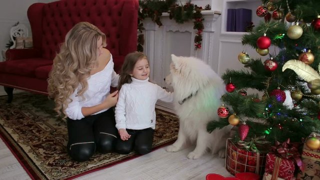 Happy mother with her little daughter playing on the floor with the big white dog next to a decorated Christmas tree. Big happy family celebrates Christmas with a dog at home.