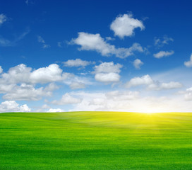 Fototapeta premium Green field and sun.