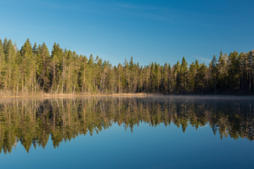 landscape of russian nature