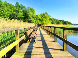 Bohlensteg mit Schilfrohr am Blankensee