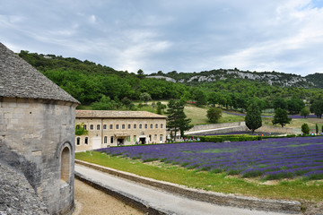 Fototapeta na wymiar Abbey of Senanque, France