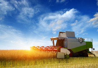  Combine working in field.