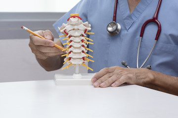 Doctor demonstrate cervical spine model