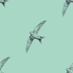 Seamless pattern with flying birds. Swift birds. Vector illustration