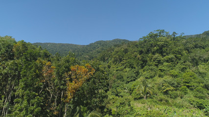 Fototapeta premium Aerial view of mountains with green forest, trees, jungle with blue sky. Slopes of mountains with tropical rainforest. Philippines, Luzon. Tropical landscape in Asia.