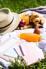 Picnic in the park with croissants and juice next to the magazine and note pads. Planning time and keeping a diary in the nature of the concept