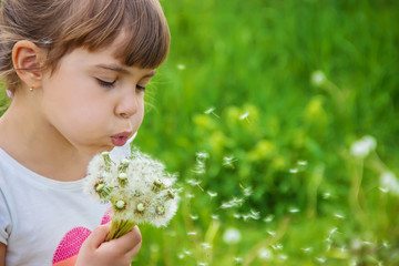 girl blowing dandelions in the air. selective focus.
