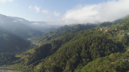 Fototapeta na wymiar Aerial view of mountains covered forest, trees in clouds and fog. Cordillera region. Luzon, Philippines. Slopes of mountains with evergreen vegetation. Mountainous tropical landscape.