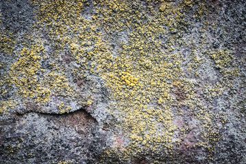 old metal texture element macro 