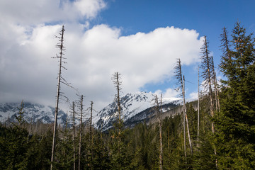 Trail to the Morskie Oko in Tatrzanski National Park, Karpaty, Poland